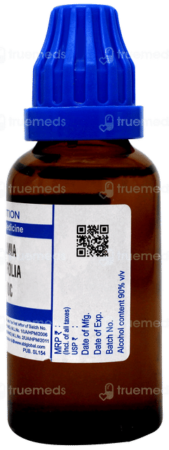 Sbl Kalmia Latifolia 200c Dilution 30ml