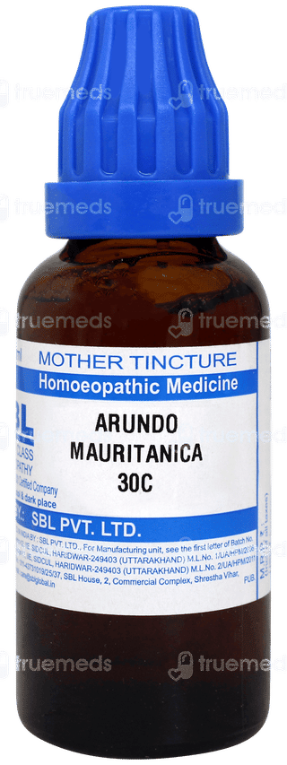 Sbl Arundo Mauritanica 30c Dilution 30ml
