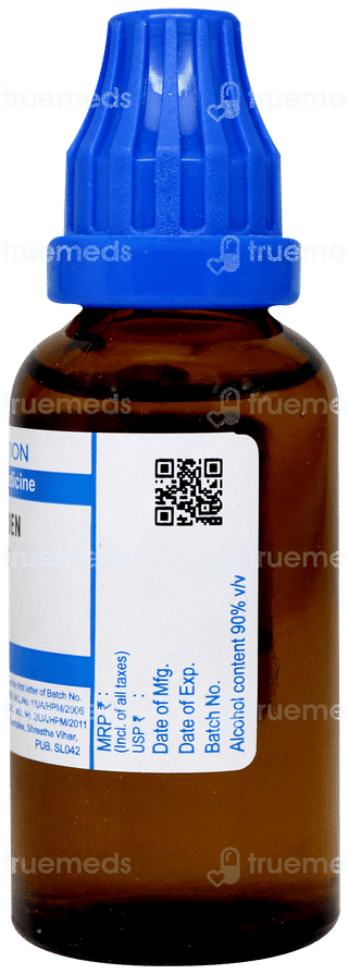 Sbl Wiesbaden 1000 C Dilution 30 ML