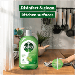 Dettol Lime Fresh Disinfectant Liquid 550ml