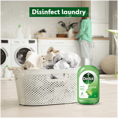 Dettol Lime Fresh Disinfectant Liquid 550ml