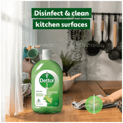 Dettol Lime Fresh Disinfectant Liquid 550ml