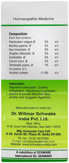 Dr Willmar Schwabe Dizester Sugar Free Digestive Tonic 200ml