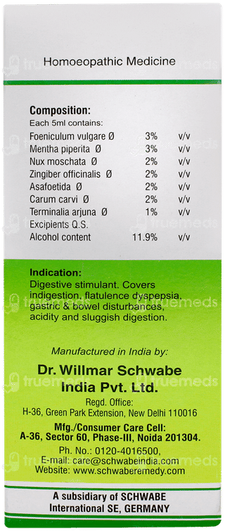 Dr Willmar Schwabe Dizester Sugar Free Digestive Tonic 200ml