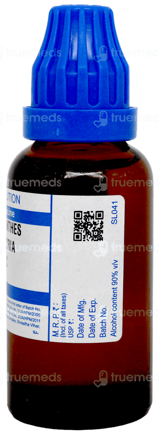Sbl Lachnanthes Tinctoria 30C Dilution 30Ml