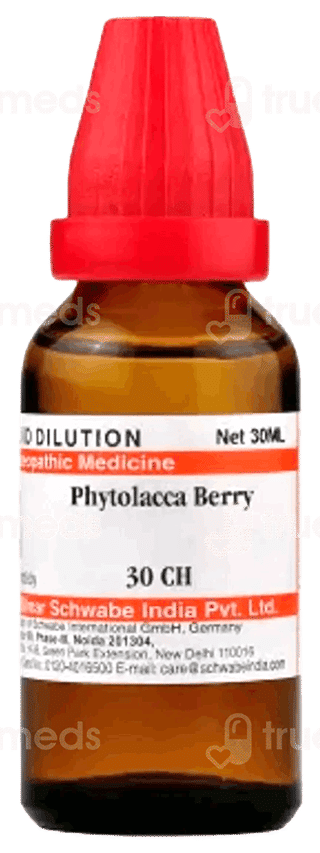 Dr Willmar Phytolacca Berry 30Ch Dilution 30Ml
