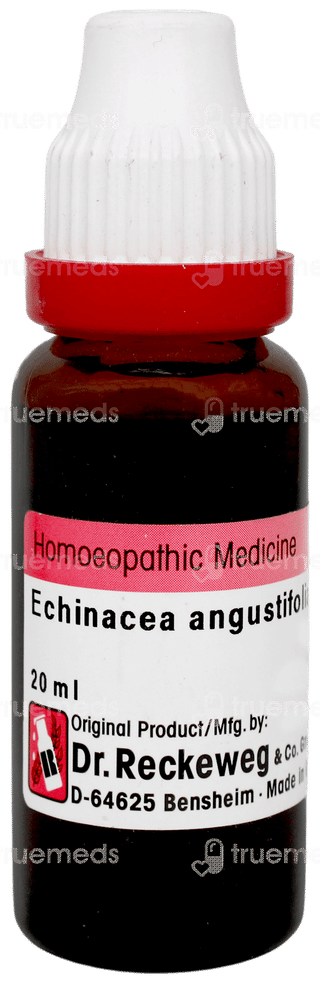 Dr Reckeweg Echinacea Angustifolia Q Mother Tincture 20ml