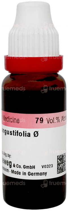 Dr Reckeweg Echinacea Angustifolia Q Mother Tincture 20ml