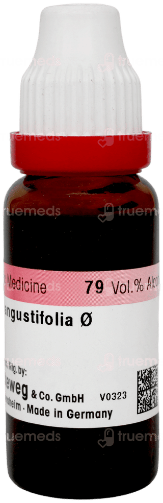 Dr Reckeweg Echinacea Angustifolia Q Mother Tincture 20ml