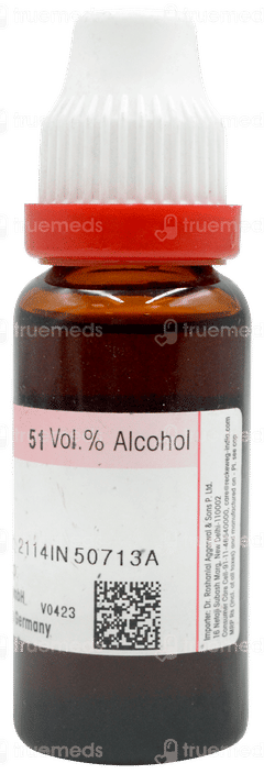 Dr Reckeweg Berberis Vulgaris Q Mother Tincture 20ml