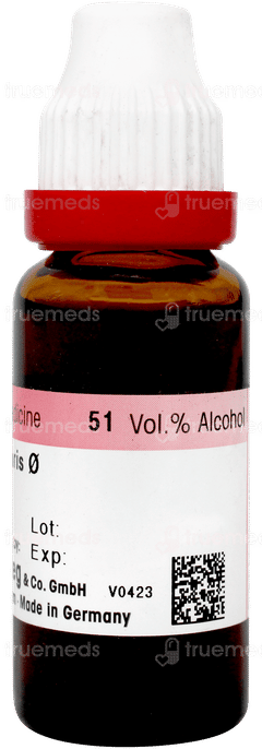 Dr Reckeweg Berberis Vulgaris Q Mother Tincture 20ml