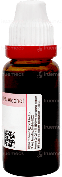 Dr Reckeweg Berberis Vulgaris Q Mother Tincture 20ml