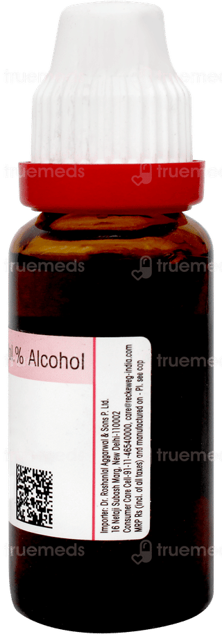 Dr Reckeweg Berberis Vulgaris Q Mother Tincture 20ml