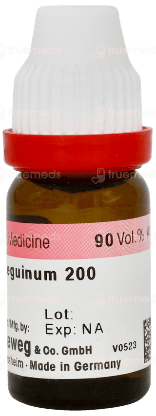 Dr Reckeweg Caladium Seguinum 200 Dilution 11ml