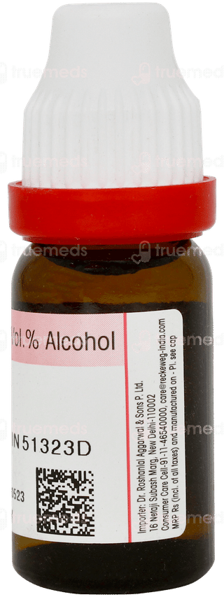 Dr Reckeweg Caladium Seguinum 200 Dilution 11ml