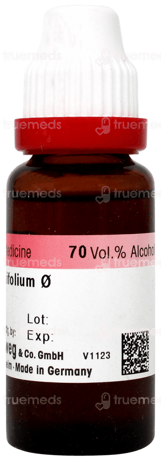 Dr Reckeweg Berberis Aquifolium Q Mother Tincture 20ml