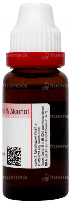 Dr Reckeweg Berberis Aquifolium Q Mother Tincture 20ml