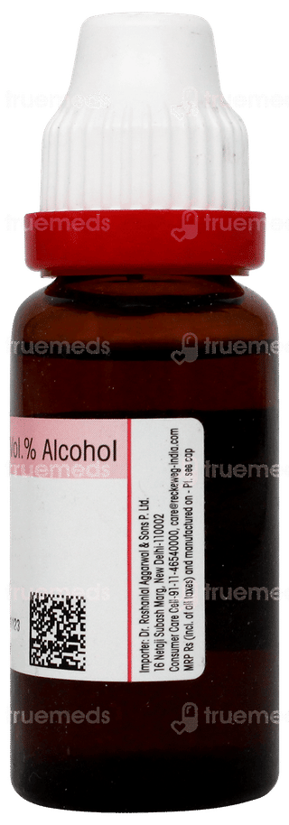 Dr Reckeweg Berberis Aquifolium Q Mother Tincture 20ml