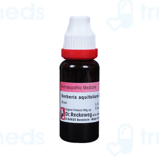 Dr Reckeweg Berberis Aquifolium Q Mother Tincture 20ml