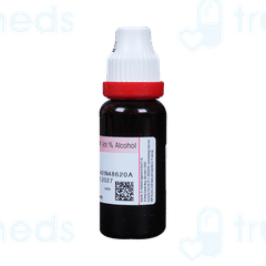 Dr Reckeweg Berberis Aquifolium Q Mother Tincture 20ml