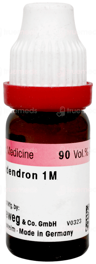 Dr Reckeweg  Rhus Toxicodendron 1m Dilution 11ml
