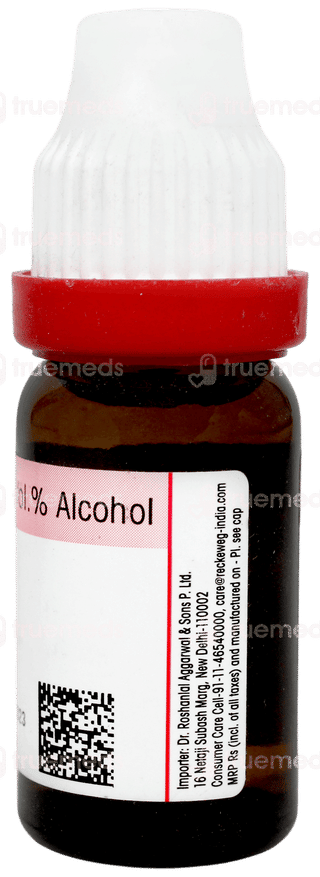 Dr Reckeweg  Rhus Toxicodendron 1m Dilution 11ml