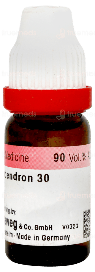 Dr Reckeweg Rhus Toxicodendron 30 Dilution 11ml