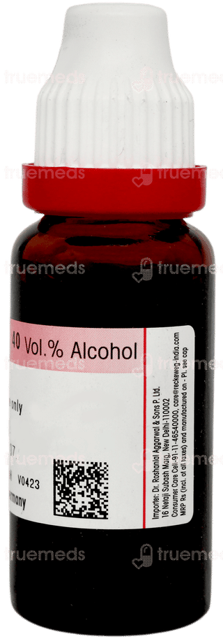 Dr Reckeweg Cephalandra Indica Q Mother Tincture 20ml