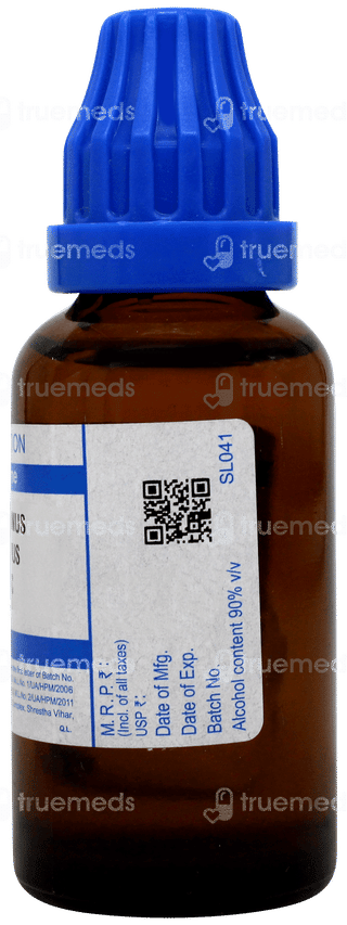 Sbl Raphanus Sativus 30c Dilution 30ml