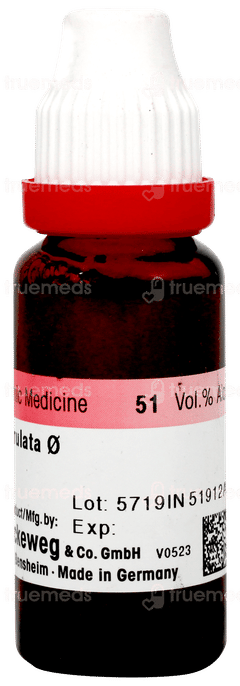 Dr Reckeweg Sabal Serrulata Q Mother Tincture 20ml