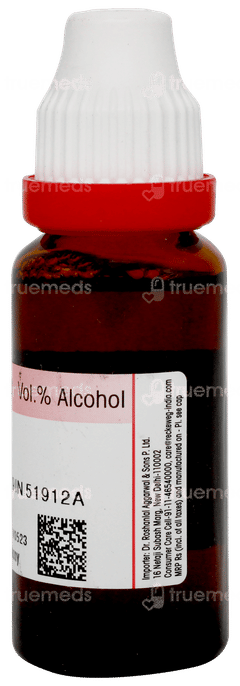 Dr Reckeweg Sabal Serrulata Q Mother Tincture 20ml