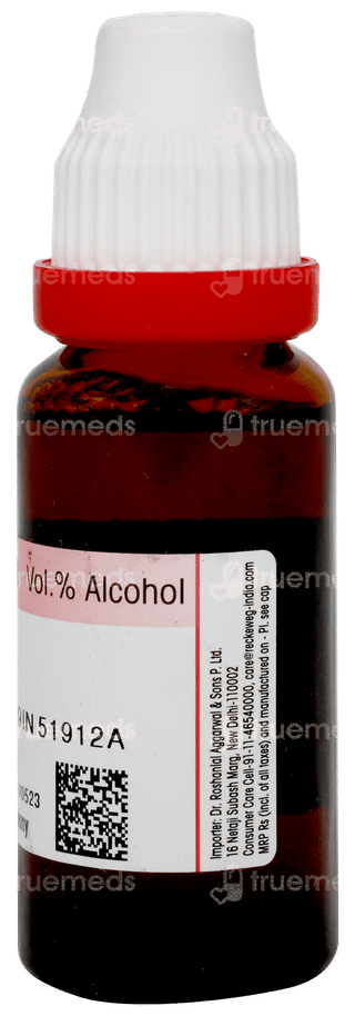 Dr Reckeweg Sabal Serrulata Q Mother Tincture 20ml