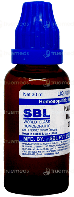 Sbl Plantago Major 30c Dilution 30ml