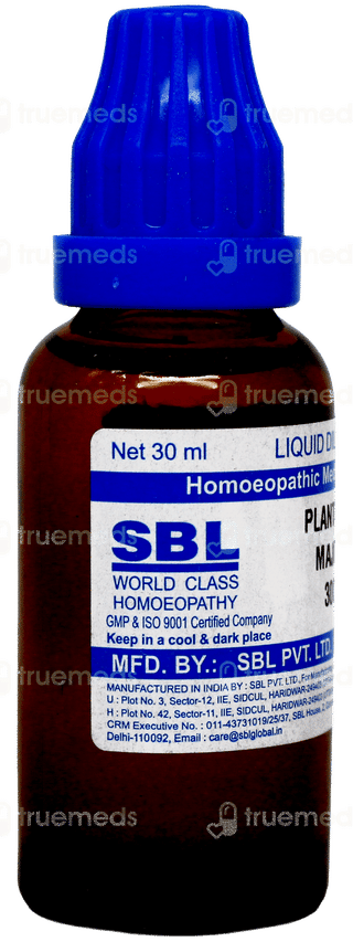 Sbl Plantago Major 30c Dilution 30ml