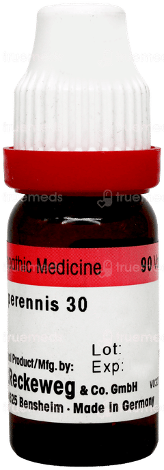 Dr Reckeweg Bellis Perennis 30 Dilution 11ml
