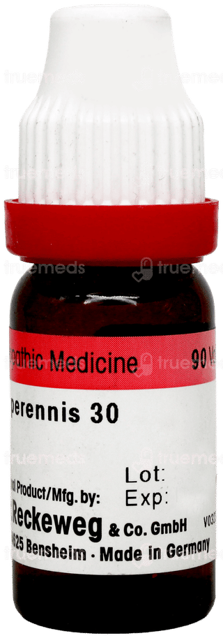 Dr Reckeweg Bellis Perennis 30 Dilution 11ml
