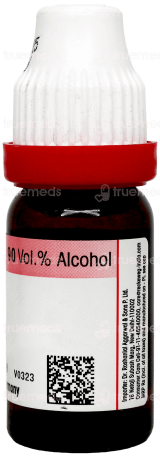 Dr Reckeweg Bellis Perennis 30 Dilution 11ml