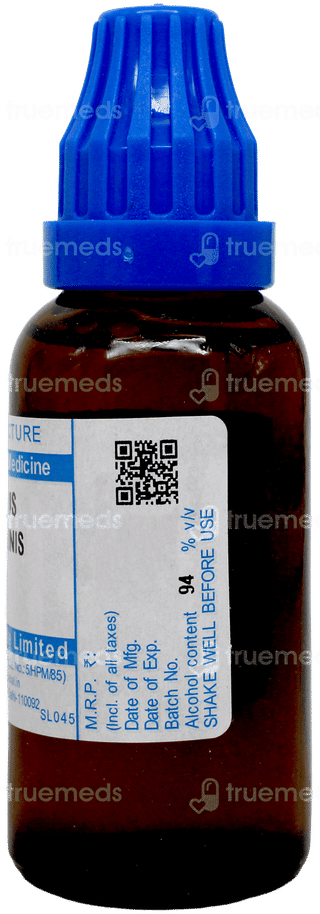 Sbl Ricinus Communis Q Mother Tincture 30ml