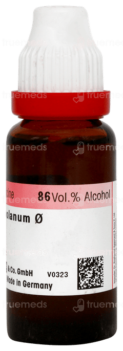 Dr Reckeweg Syzygium Jambolanum Q Mother Tincture 20ml