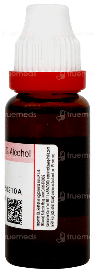 Dr Reckeweg Syzygium Jambolanum Q Mother Tincture 20ml