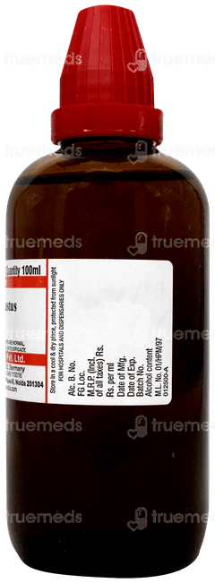 Dr Willmar Agnus Castus Q Mother Tincture 100ml Dr Willmar Agnus Castus Q Mother Tincture 100ml