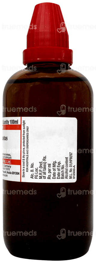Dr Willmar Agnus Castus Q Mother Tincture 100ml