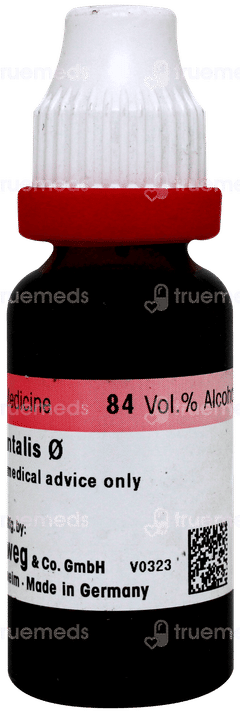 Dr Reckeweg Thuja Occidentalis Q Mother Tincture 20ml