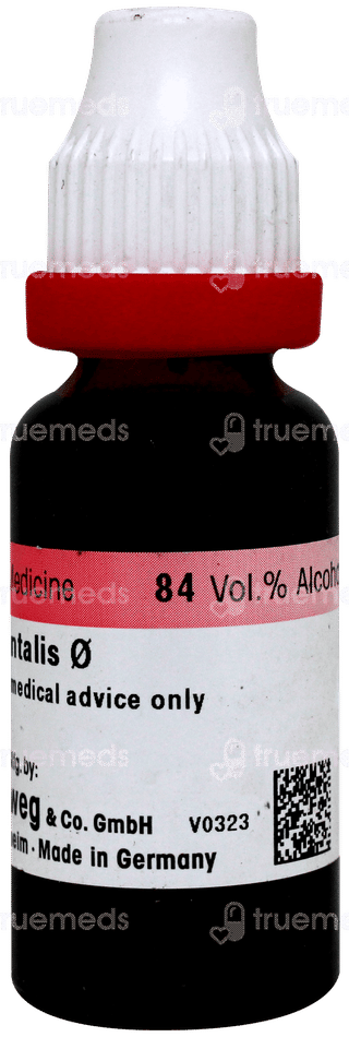 Dr Reckeweg Thuja Occidentalis Q Mother Tincture 20ml