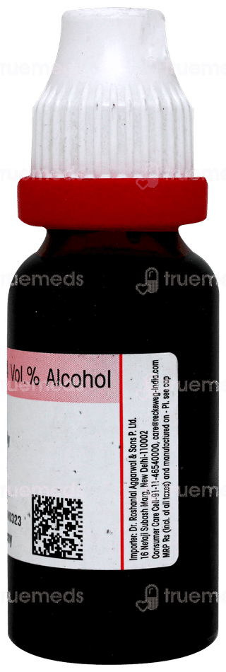 Dr Reckeweg Thuja Occidentalis Q Mother Tincture 20ml
