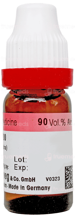 Dr Reckeweg Phytolacca 200 Dilution 11Ml