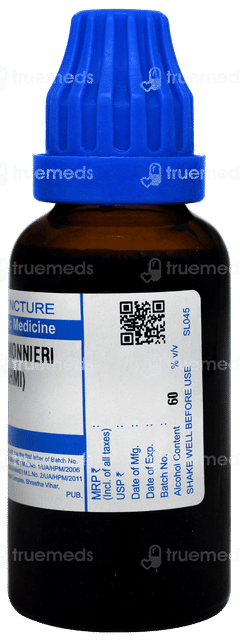 Sbl Bacopa Monnieri Brahmi Q Mother Tincture 30ml