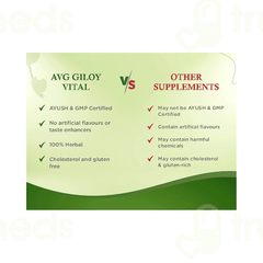 Avg Giloy Vital Plus Sugar Free 1000ml