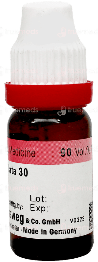 Dr Reckeweg Sabal Serrulata 30 Dilution 11Ml