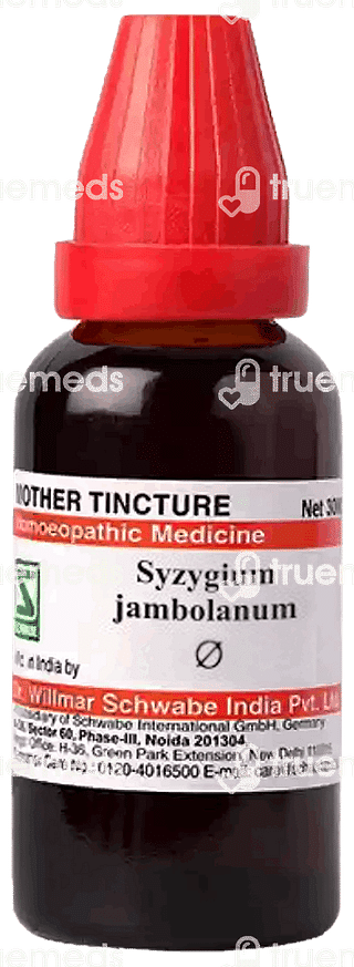 Dr Willmar Syzygium Jambolanum Mother Tincture 30ml